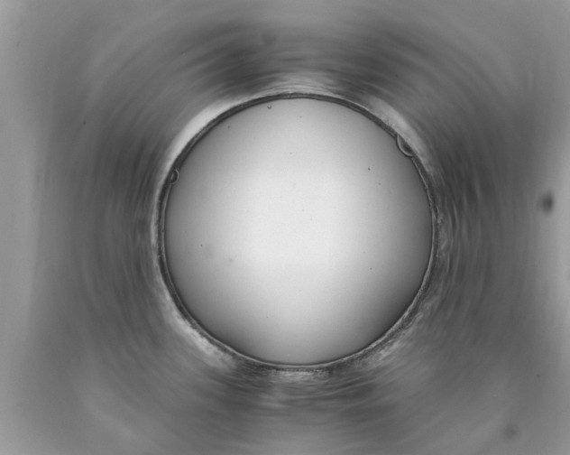 X0000089891339200707262222