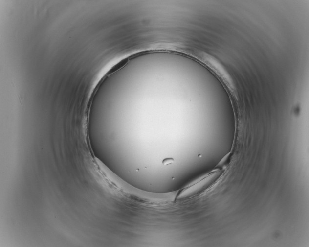 X0000089891340200707262222