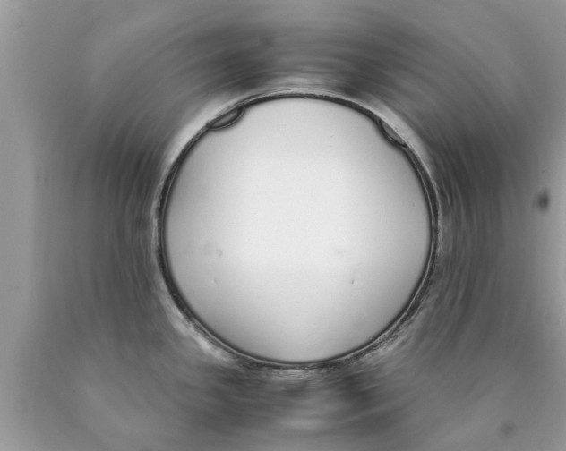 X0000089891341200707262222