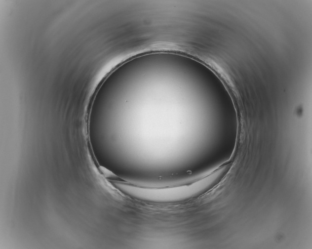 X0000089891342200707262222