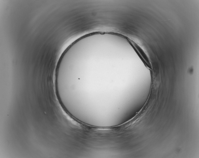 X0000089891343200707262222