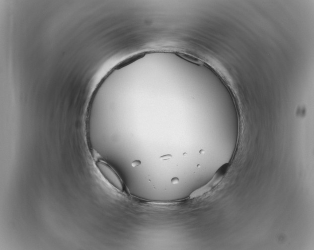 X0000089891344200707262222