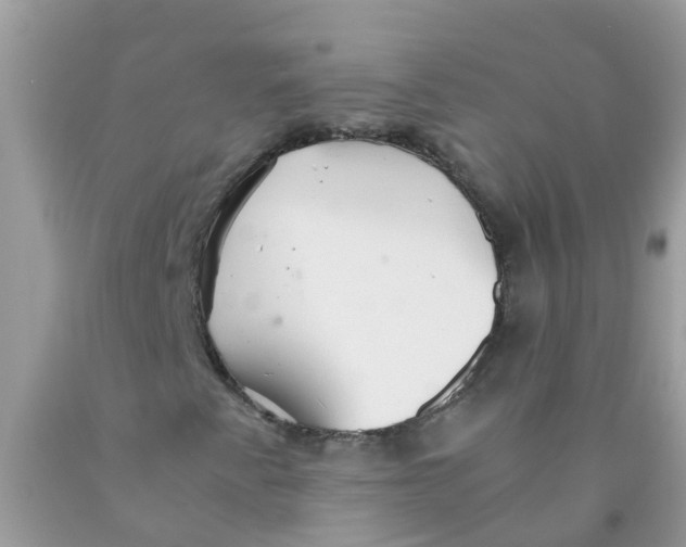 X0000089891345200707262221