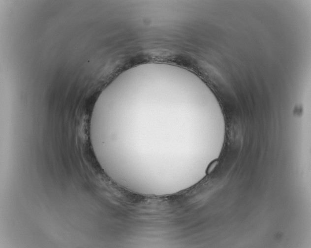 X0000089891346200707262221