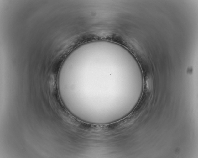 X0000089891347200707262221