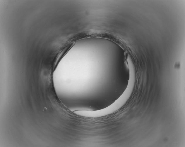 X0000089891348200707262221