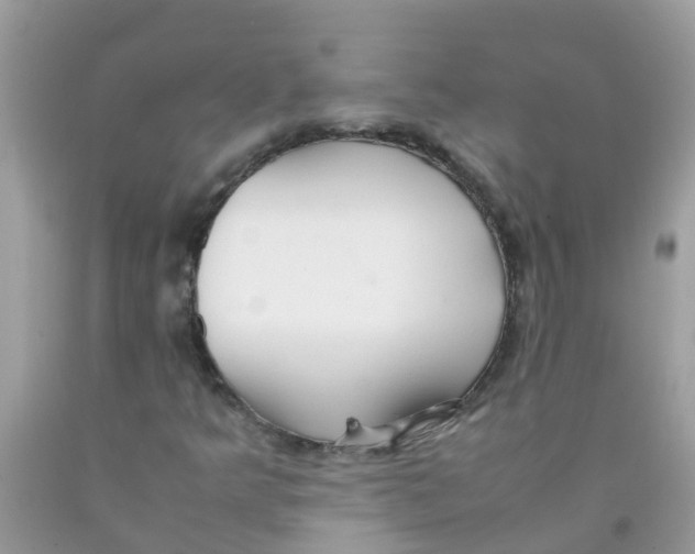 X0000089891349200707262221