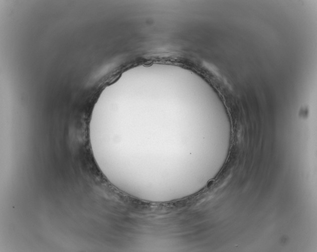 X0000089891350200707262221