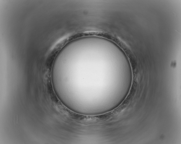 X0000089891351200707262221