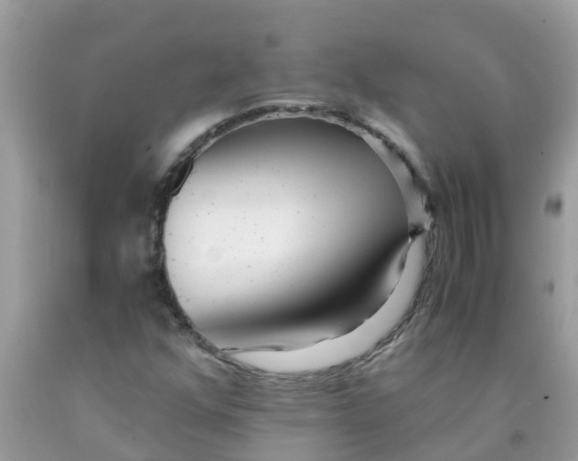 X0000089891352200707262221