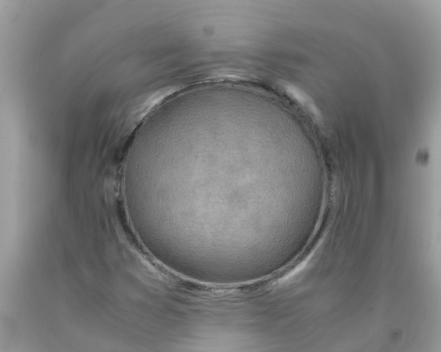 X0000089891353200707262221