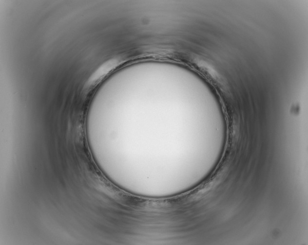 X0000089891354200707262221