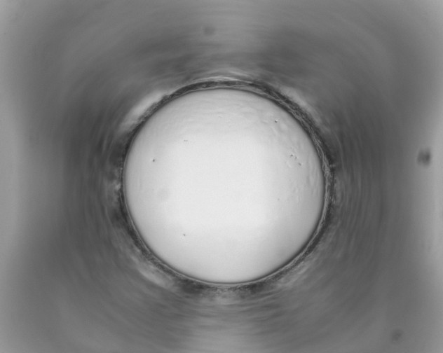 X0000089891355200707262221