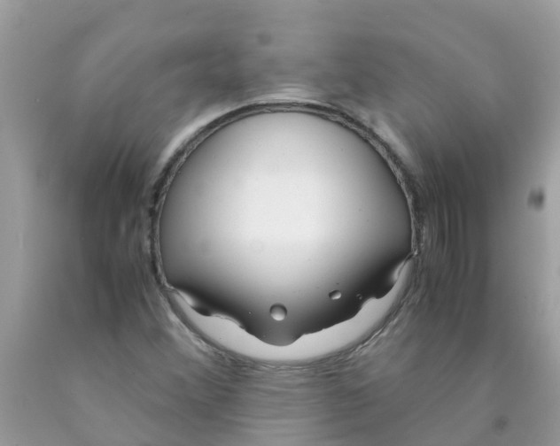 X0000089891356200707262221