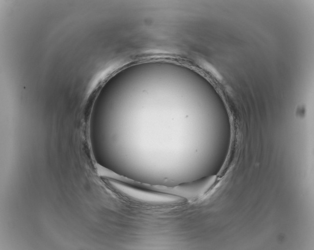 X0000089891357200707262221