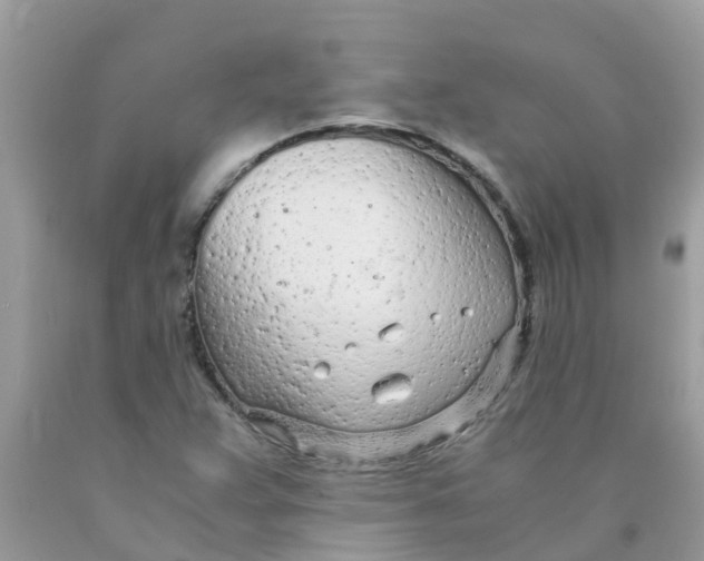 X0000089891359200707262221