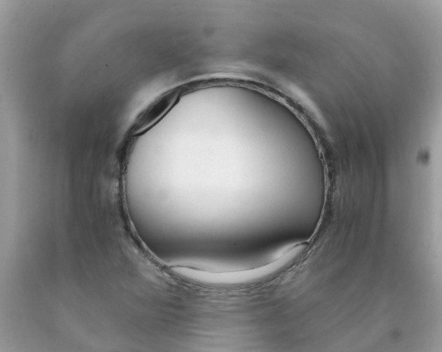 X0000089891360200707262221