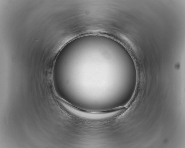 X0000089891361200707262221