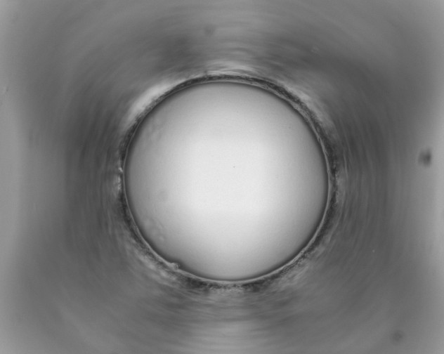 X0000089891363200707262221