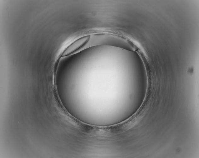 X0000089891365200707262221