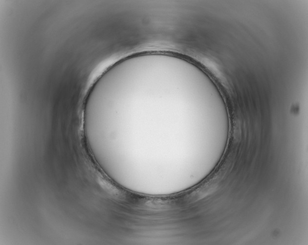 X0000089891366200707262221