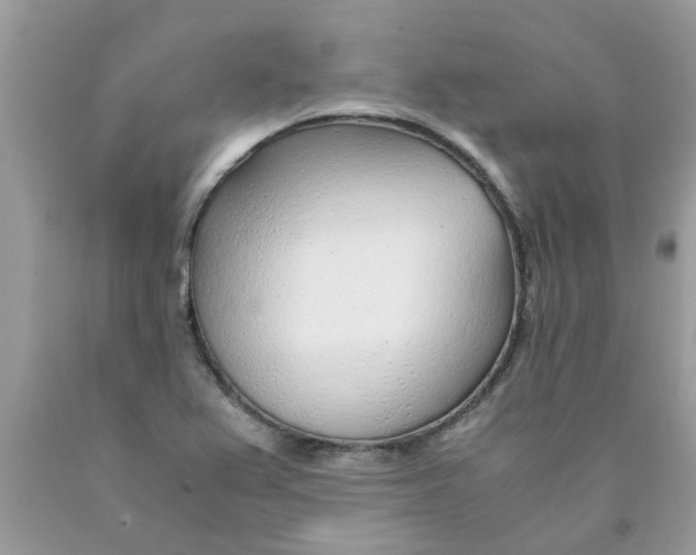 X0000089891367200707262221