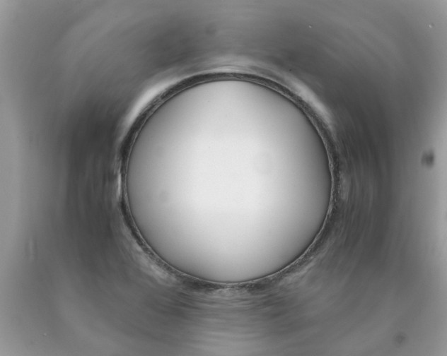 X0000089891368200707262221