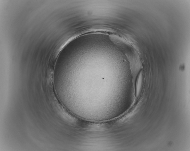 X0000089891369200707262221