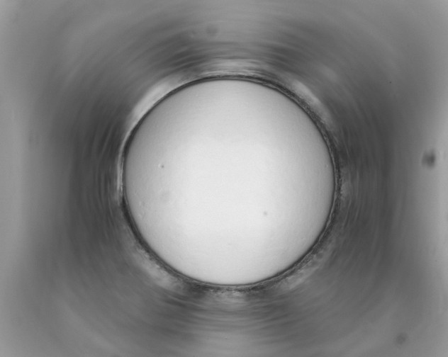 X0000089891370200707262221