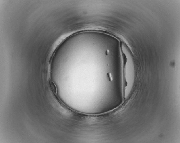 X0000089891371200707262221