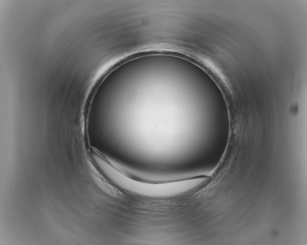 X0000089891372200707262221