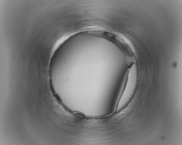 X0000089891373200707262221