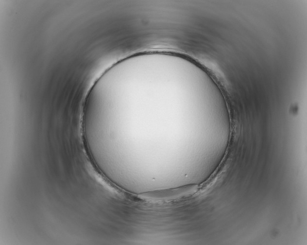 X0000089891374200707262221