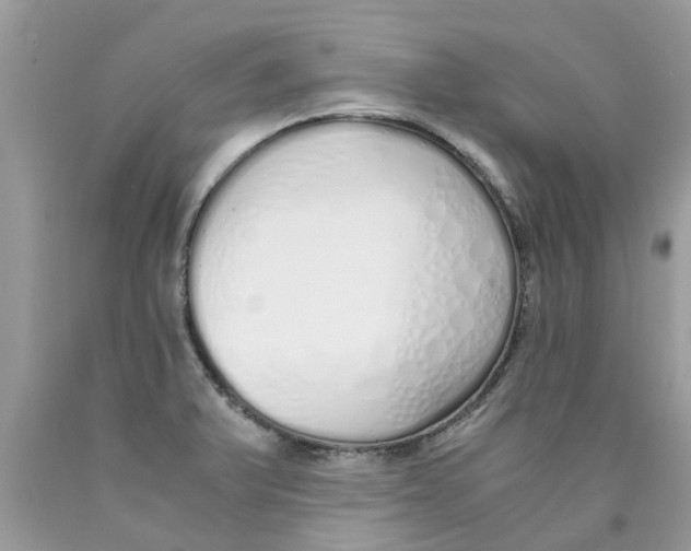 X0000089891375200707262221