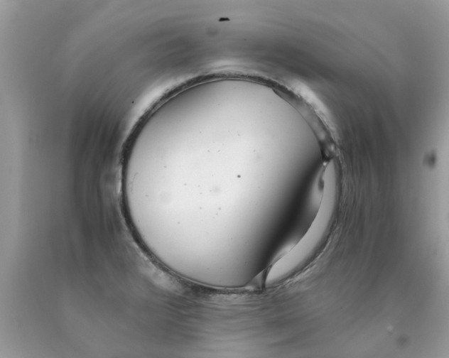 X0000089891376200707262221