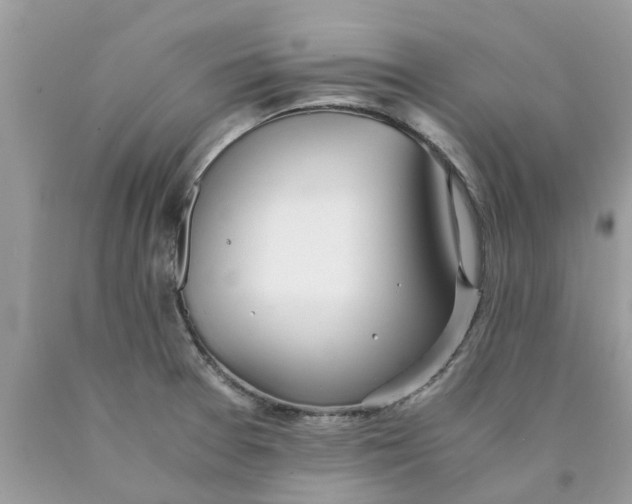 X0000089891377200707262221