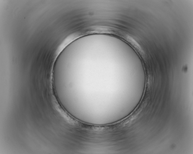 X0000089891378200707262221