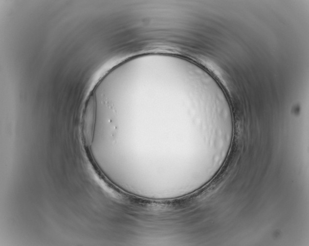 X0000089891379200707262221