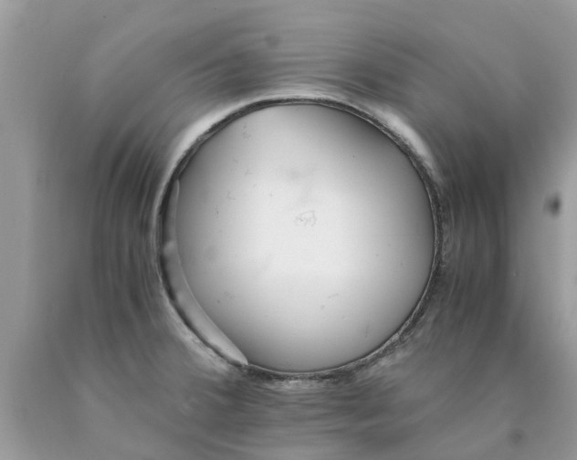 X0000089891380200707262221