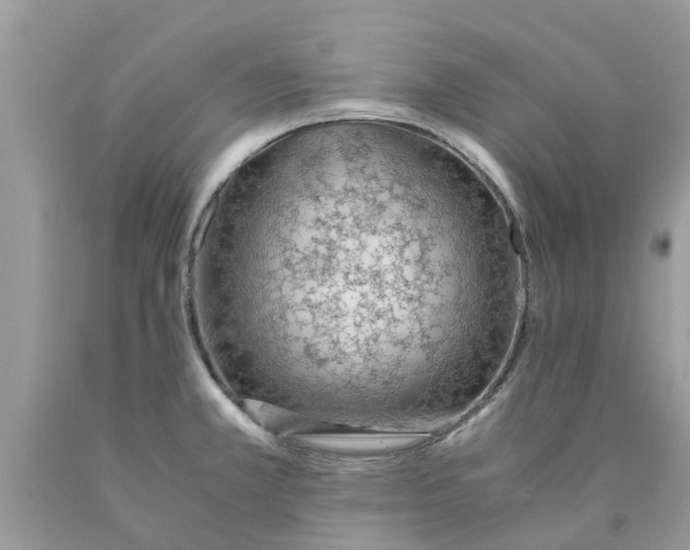 X0000089891381200707262221