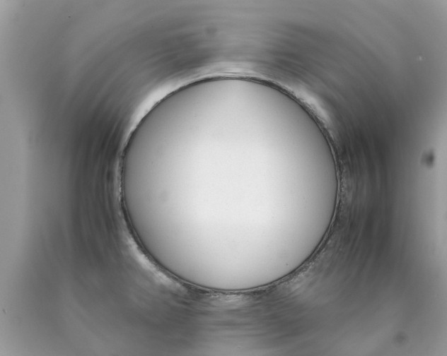 X0000089891382200707262221