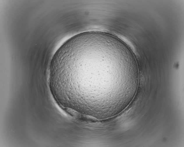 X0000089891383200707262221