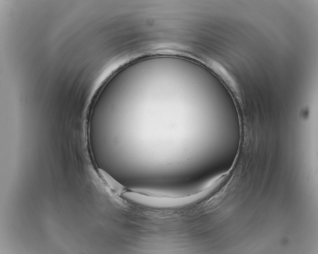 X0000089891384200707262221