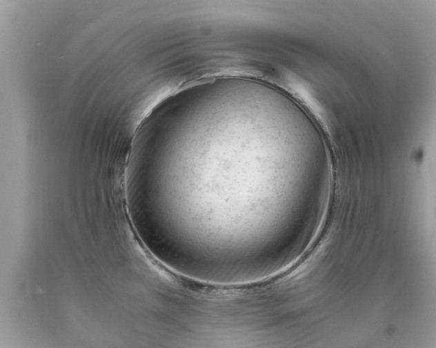 X0000089891385200707262221