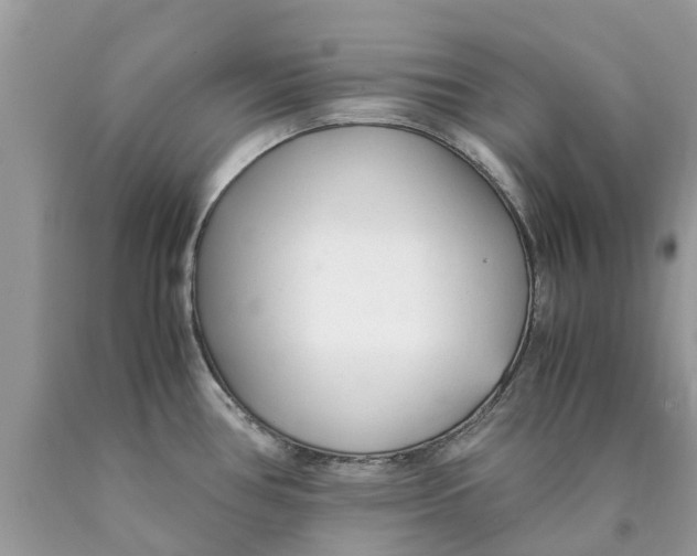 X0000089891386200707262221