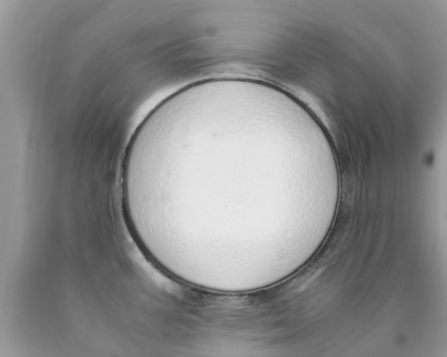 X0000089891387200707262221