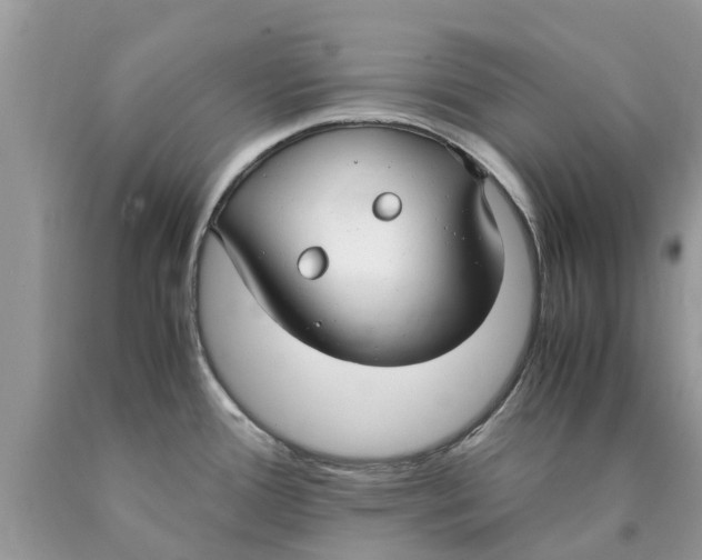 X0000089891388200707262221