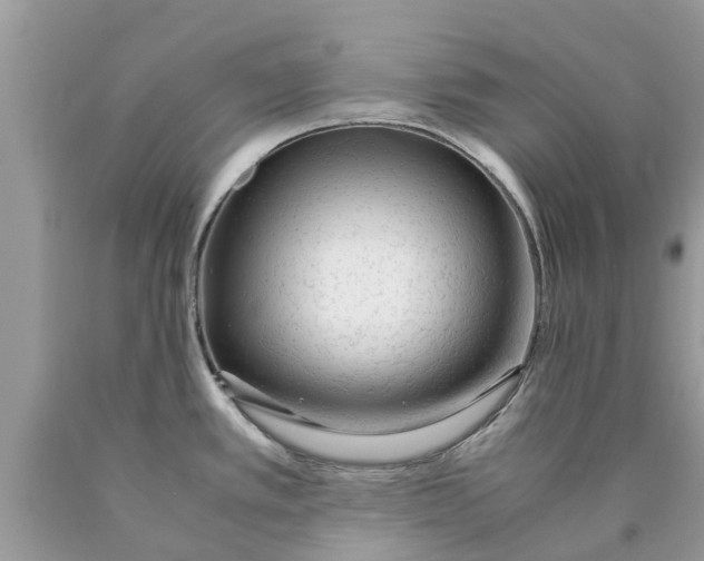 X0000089891389200707262221