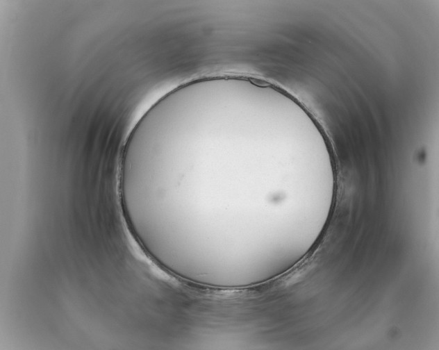 X0000089891390200707262221