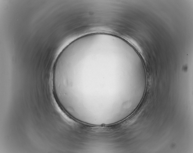 X0000089891391200707262221